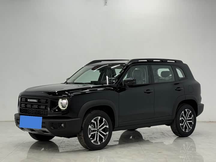 Photo 2 - Haval Dargo