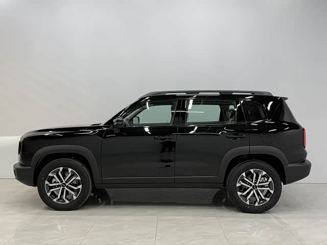 Photo 4 - Haval Dargo