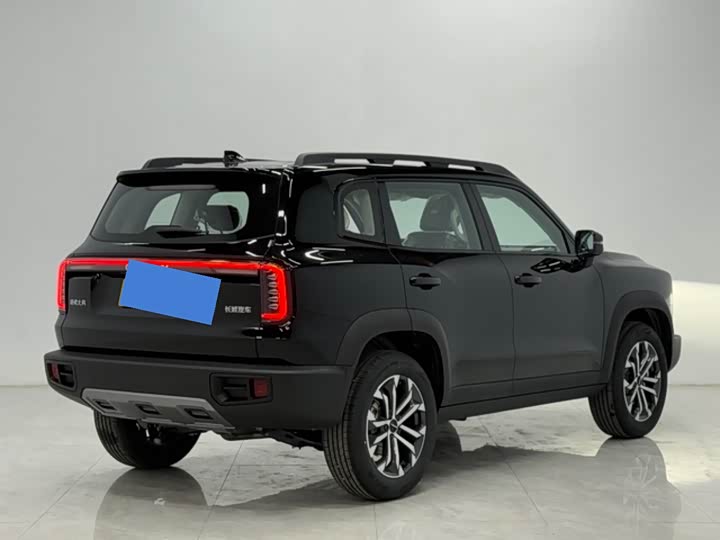 Photo 5 - Haval Dargo