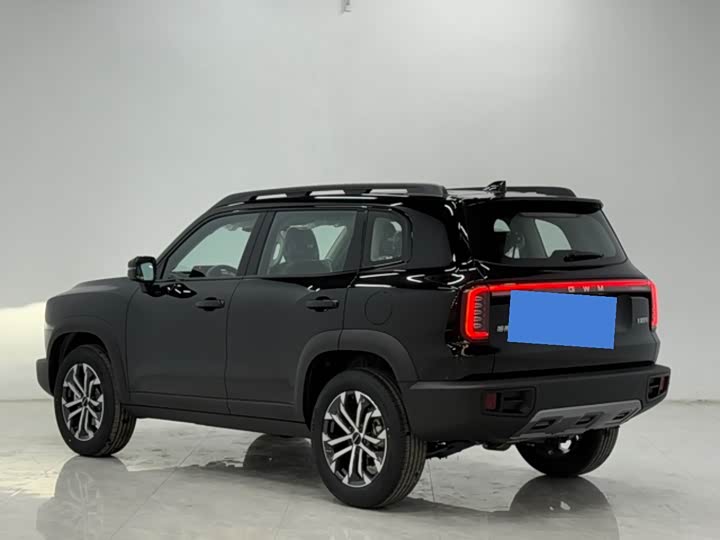 Photo 8 - Haval Dargo