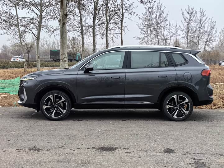 Фото 3 - Roewe RX5 Max