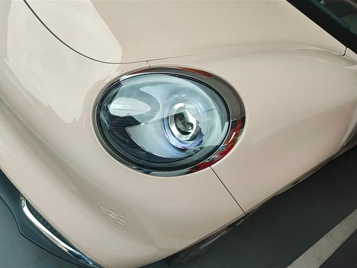 Photo 5 - Ora Good Cat (03)