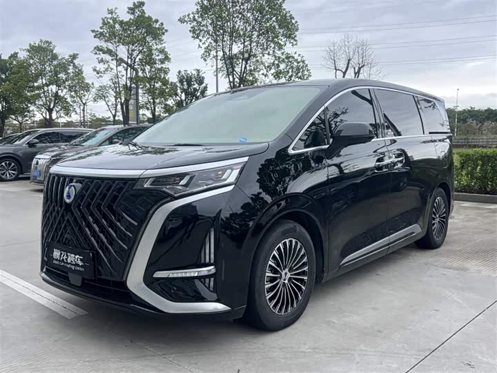 Фото 1 - Denza D9