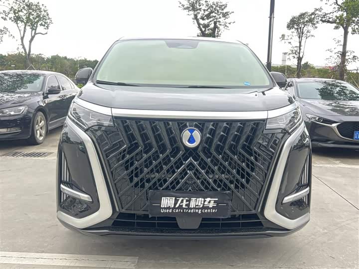 Фото 2 - Denza D9