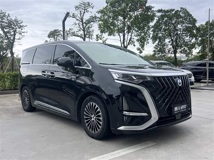 Фото 3 - Denza D9