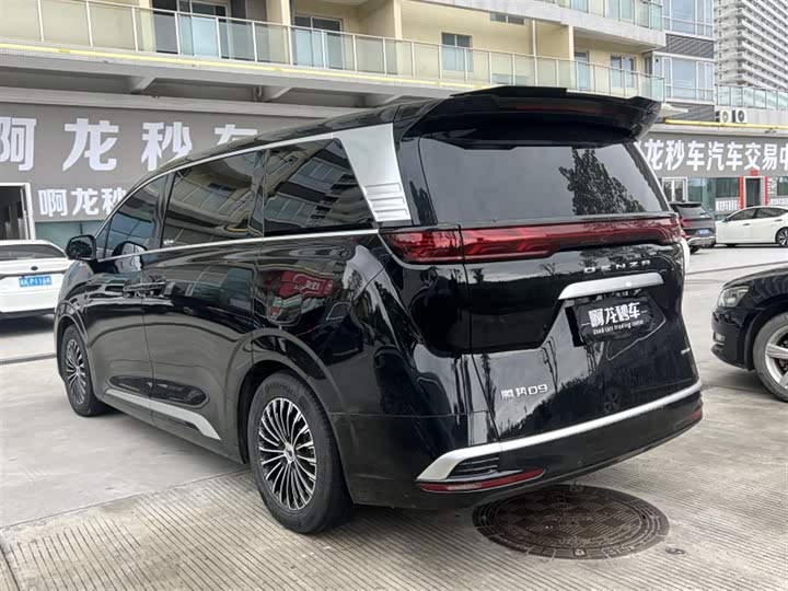 Фото 9 - Denza D9