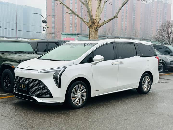 Фото 1 - Buick GL8 Century