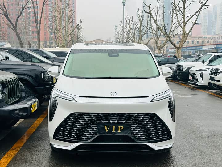 Фото 2 - Buick GL8 Century