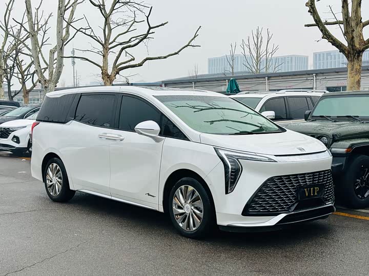 Фото 3 - Buick GL8 Century