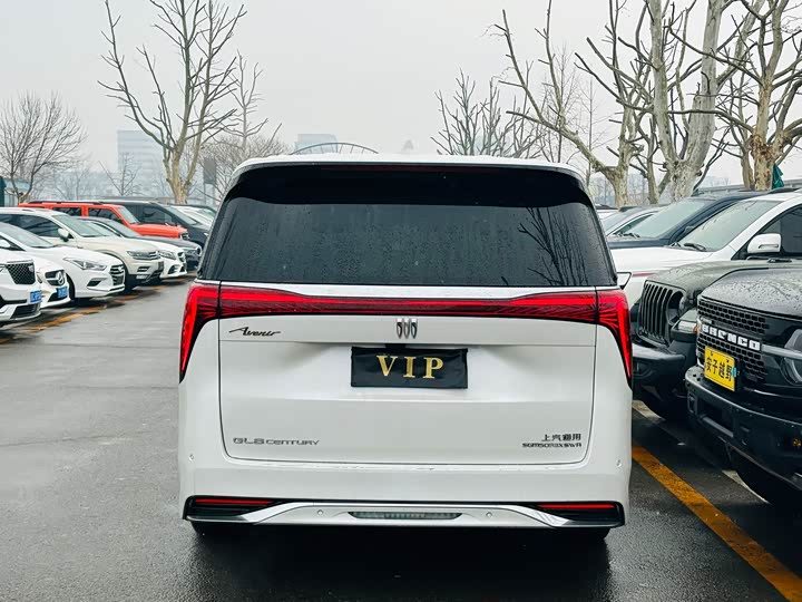 Фото 5 - Buick GL8 Century