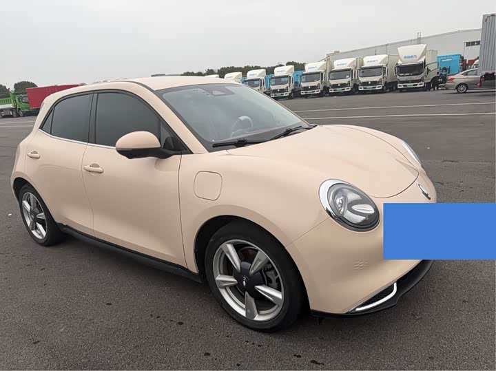 Photo 3 - Ora Good Cat (03)