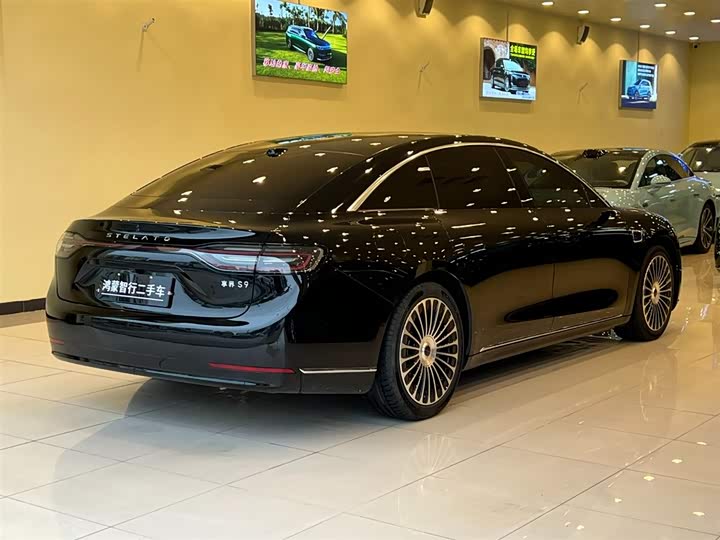 Фото 3 - Stelato S9