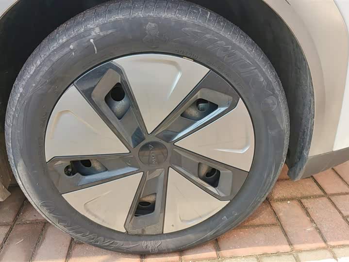 Photo 6 - GAC Aion Y