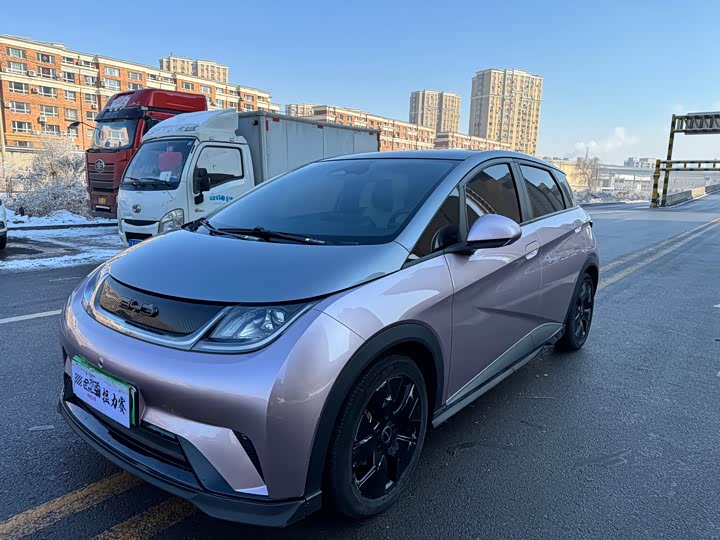 Фото 1 - BYD Dolphin