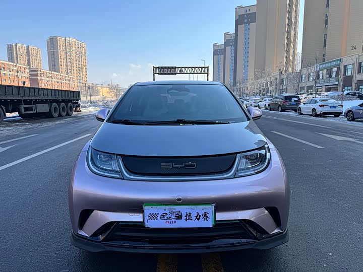 Фото 2 - BYD Dolphin