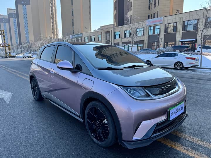 Фото 3 - BYD Dolphin