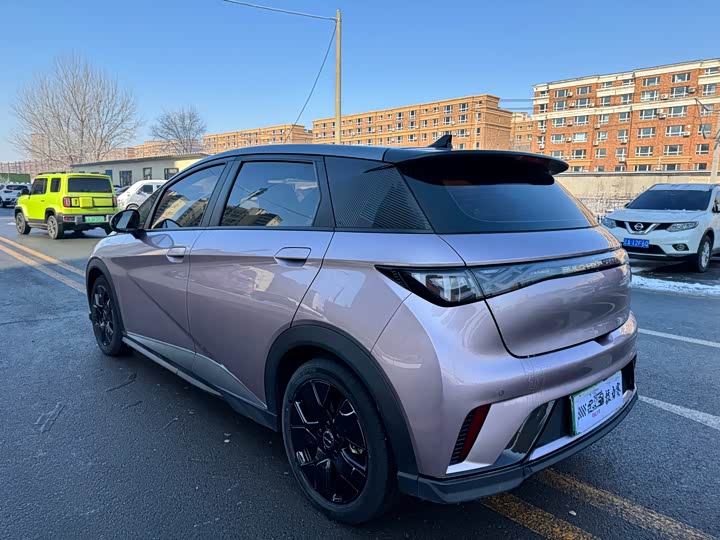 Фото 7 - BYD Dolphin