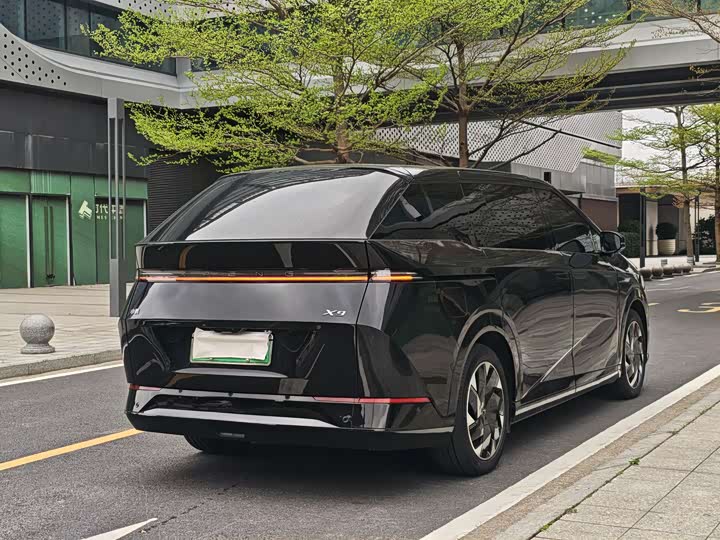 Фото 3 - XPeng X9