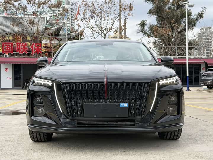 Фото 2 - Hongqi H5