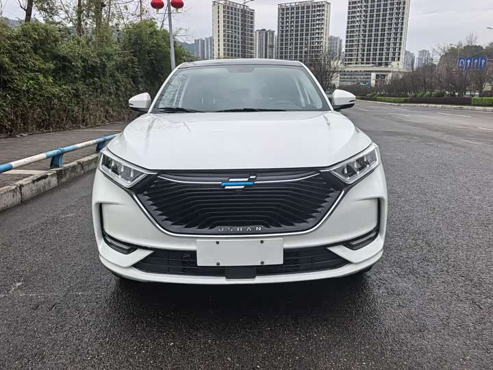 Фото 1 - Changan Oshan X7