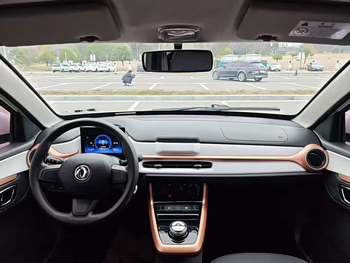 Фото 8 - Dongfeng Yipai Nano EX1