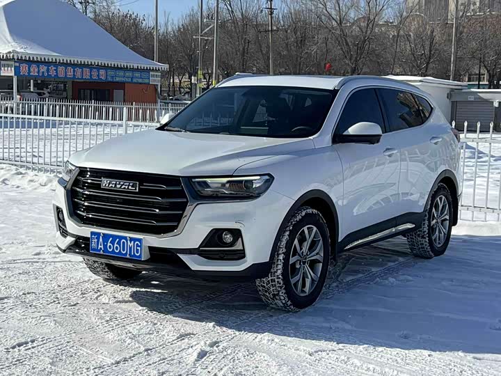 Фото 1 - Haval H6