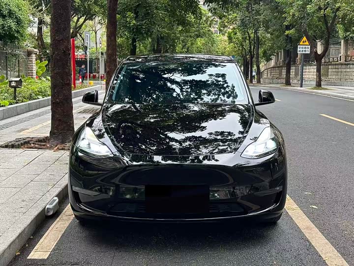 Фото 2 - Tesla Model Y