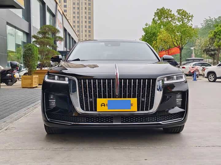 Фото 2 - Hongqi H9