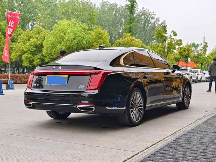 Фото 4 - Hongqi H9