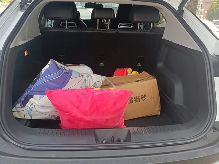 Фото 4 - Chery Tiggo 5x