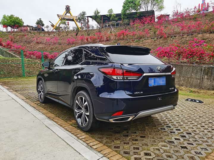 Фото 7 - Lexus RX