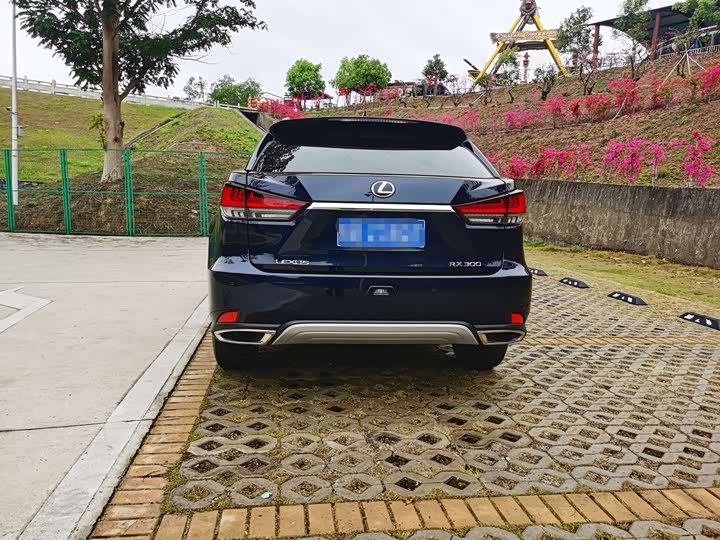 Фото 8 - Lexus RX