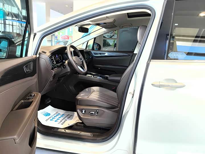 Фото 6 - Volkswagen Viloran