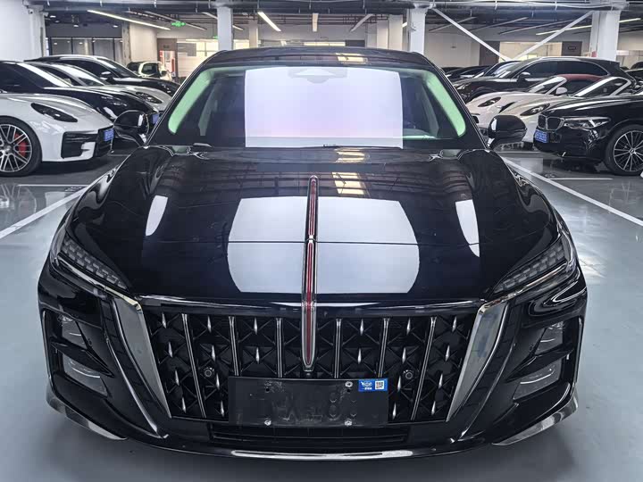 Фото 2 - Hongqi H6