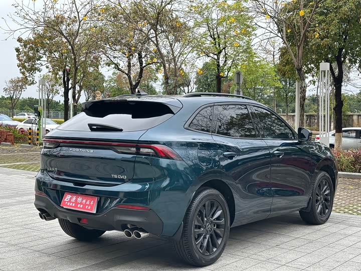 Photo 6 - Dongfeng Forthing T5 EVO