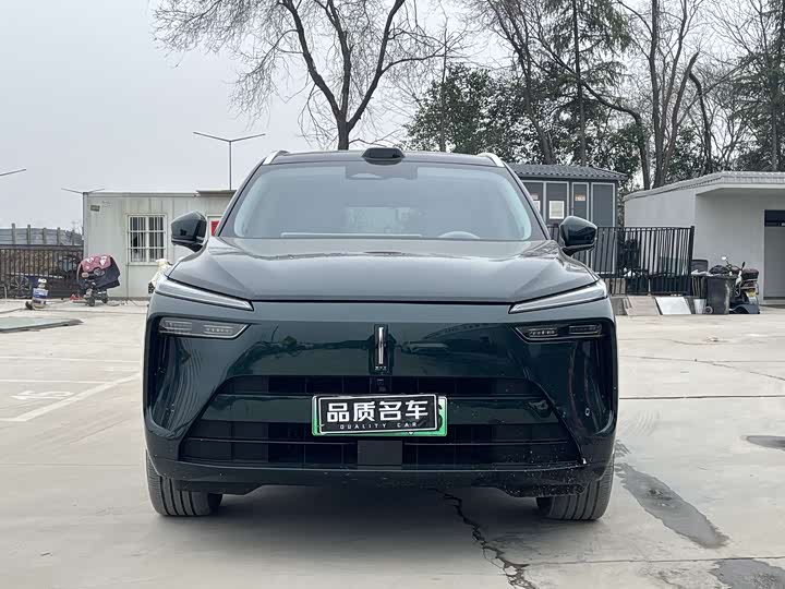 Фото 3 - Wey Lanshan