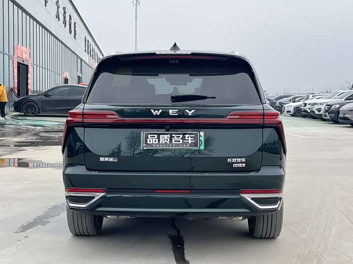 Фото 9 - Wey Lanshan