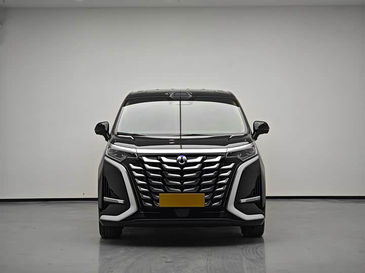 Фото 2 - Denza D9