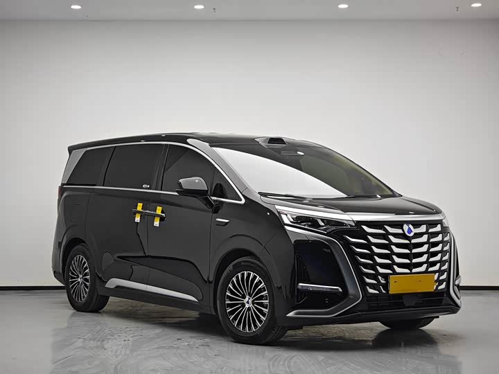 Фото 3 - Denza D9