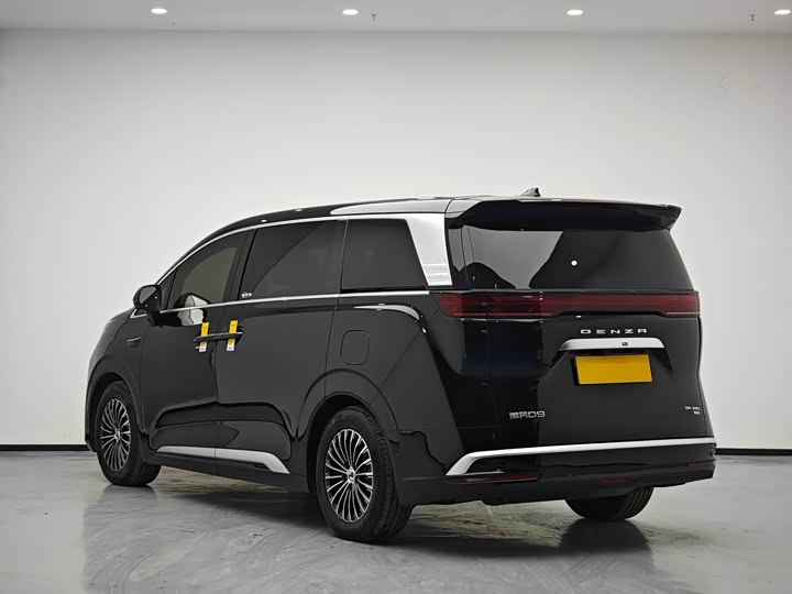 Фото 4 - Denza D9