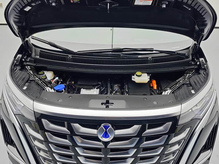 Фото 8 - Denza D9