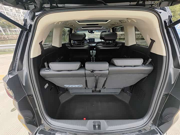 Фото 7 - Honda Elysion