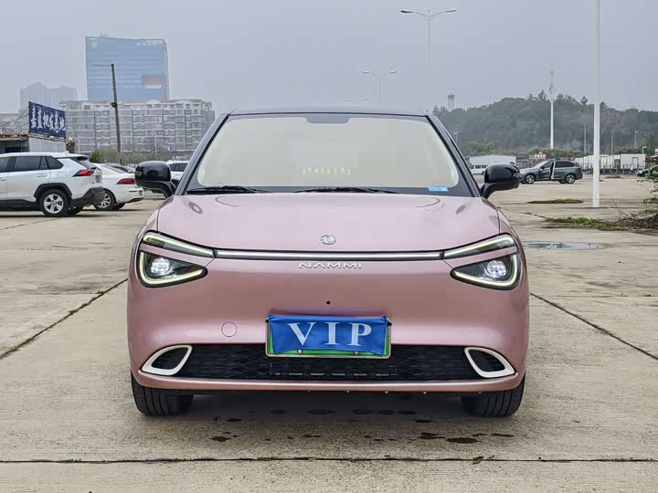 Фото 2 - Dongfeng Yipai 01