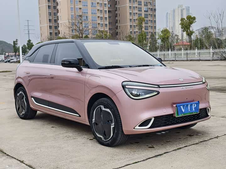 Фото 3 - Dongfeng Yipai 01