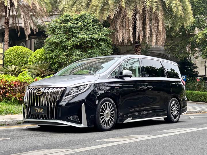 Фото 1 - GAC Trumpchi M8