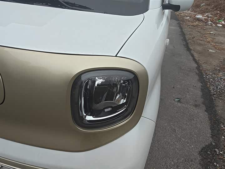 Фото 5 - Bestune Pony