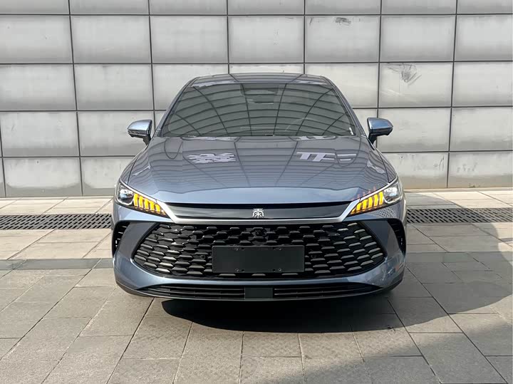 Фото 4 - BYD Qin Plus