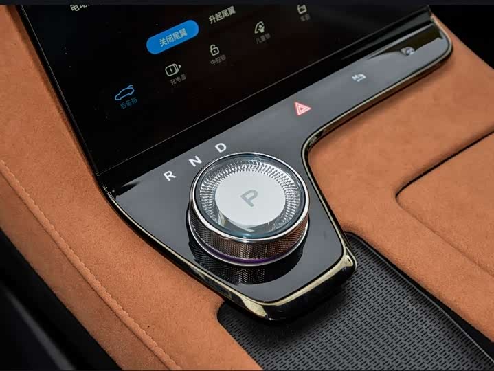 Фото 3 - Voyah Passion