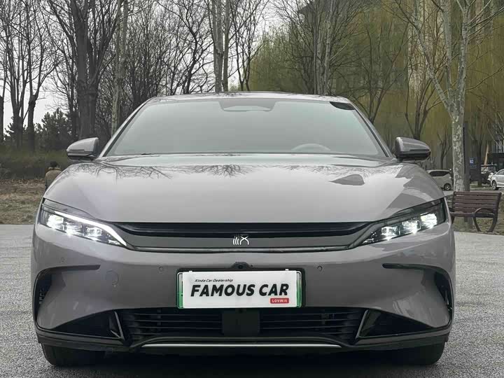 Фото 2 - BYD Han