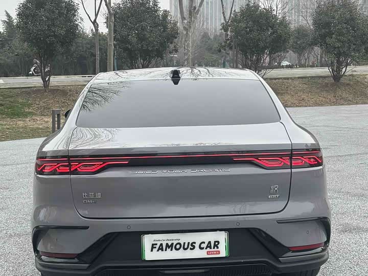 Фото 5 - BYD Han